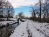Dianne_Chaffer_Winter_walk_by_River_Morbasco_Cremona_Italy.jpg