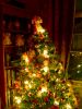 Christmas_Tree_005enh.jpg