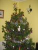 IMG_0443.JPG IMG_0443.JPG
